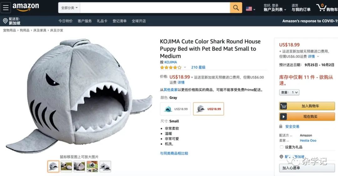 kojima旗舰店,kojima宠物店官网