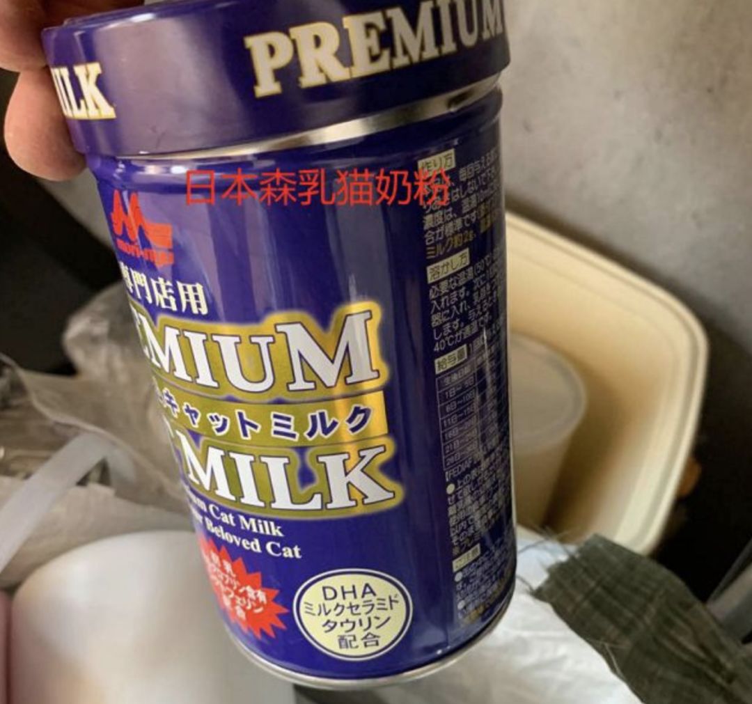 随便什么羊奶都可以喂猫吗,猫喝牛奶和羊奶一样吗