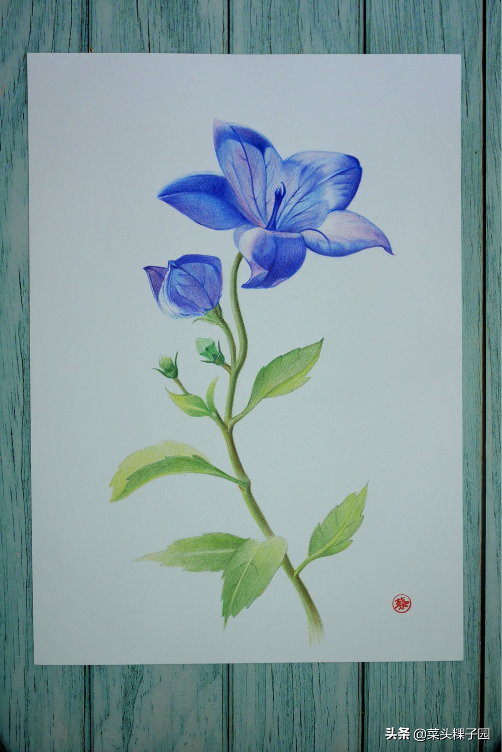 彩铅自学教程1,彩铅初学者适合买多少色的铅笔