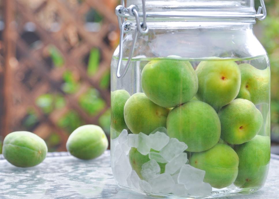 青梅酒的酿法视频教程,酿青梅汁的做法