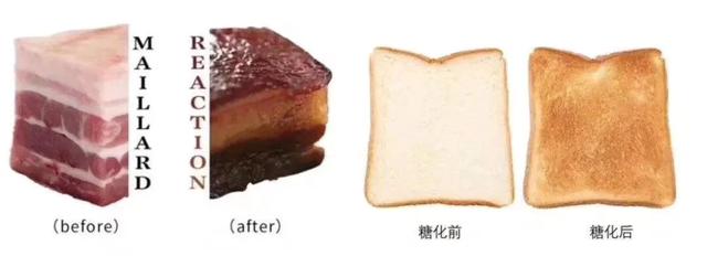 补充胶原蛋白是智商税吗,吃肉皮能补充胶原蛋白吗