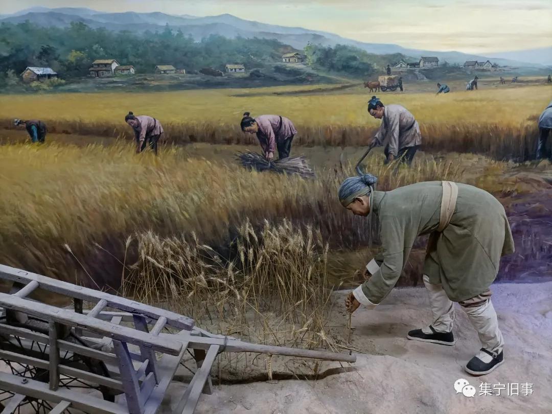 青岛旅行团跟团游四天三晚,青岛去北京两日游