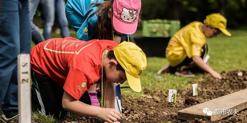 自己留的菜种子第二年可以种吗,自己留的菜种子怎么保存比较好