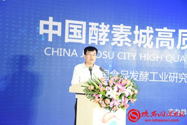 中国酵素城核心区,中国酵素城规划