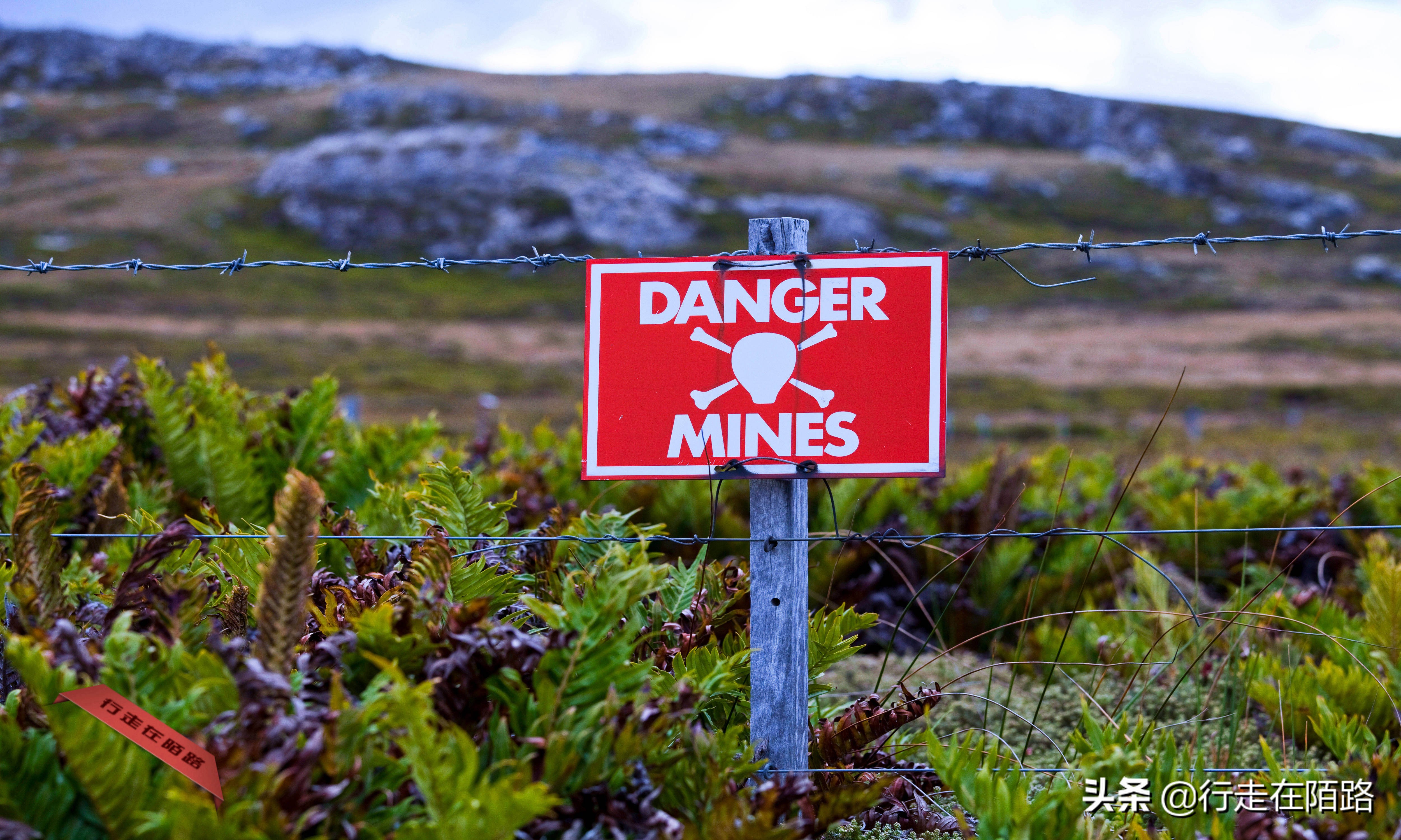 赔本战争：44艘战舰奔袭1.3万公里，耗资12亿却不是赢家