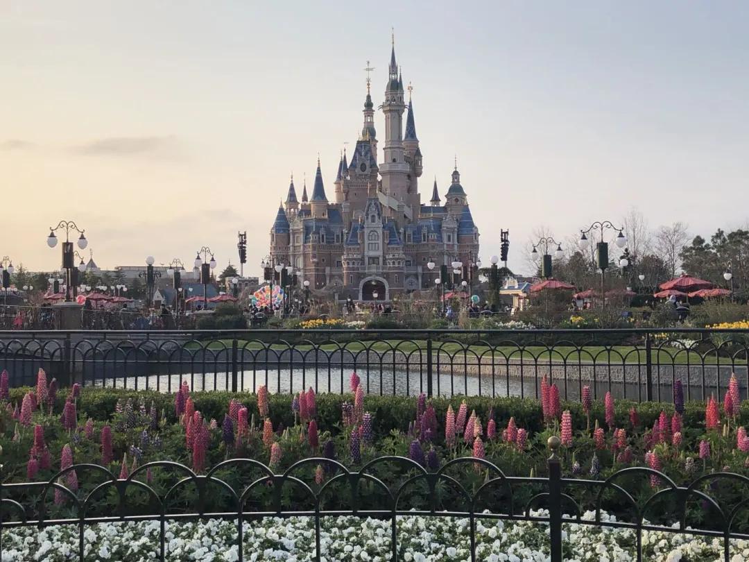 真实的回忆杀,真正的回忆杀周杰伦