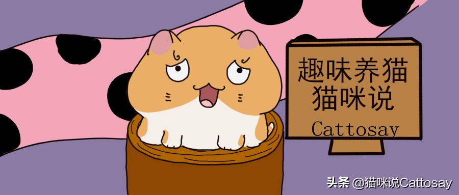 为啥猫咪的行为只有铲屎官懂 (根据猫咪胡须观察状态)