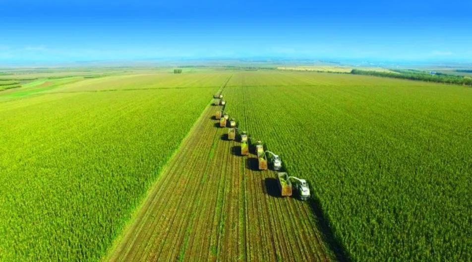 中国奶粉销量第一,中国排名第一名的奶粉品牌