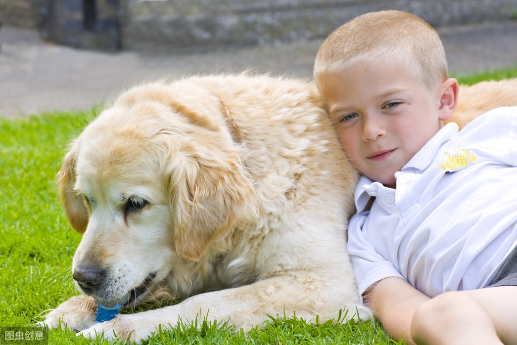 家有宝宝适合养什么宠物,该不该给宝宝养宠物呢