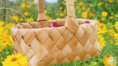 长沙小水果之乡,湖南长沙宝藏打卡地