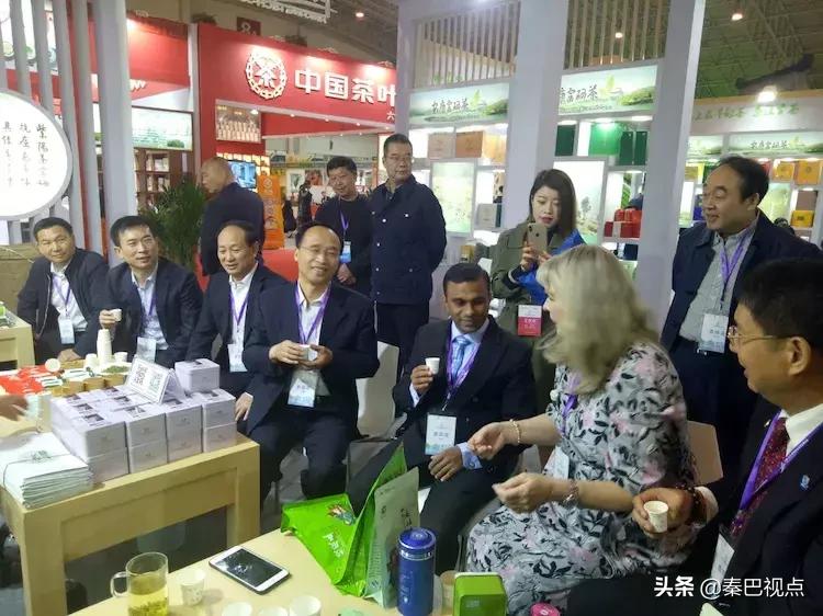 秦汉古茶价格,秦汉古茶图片