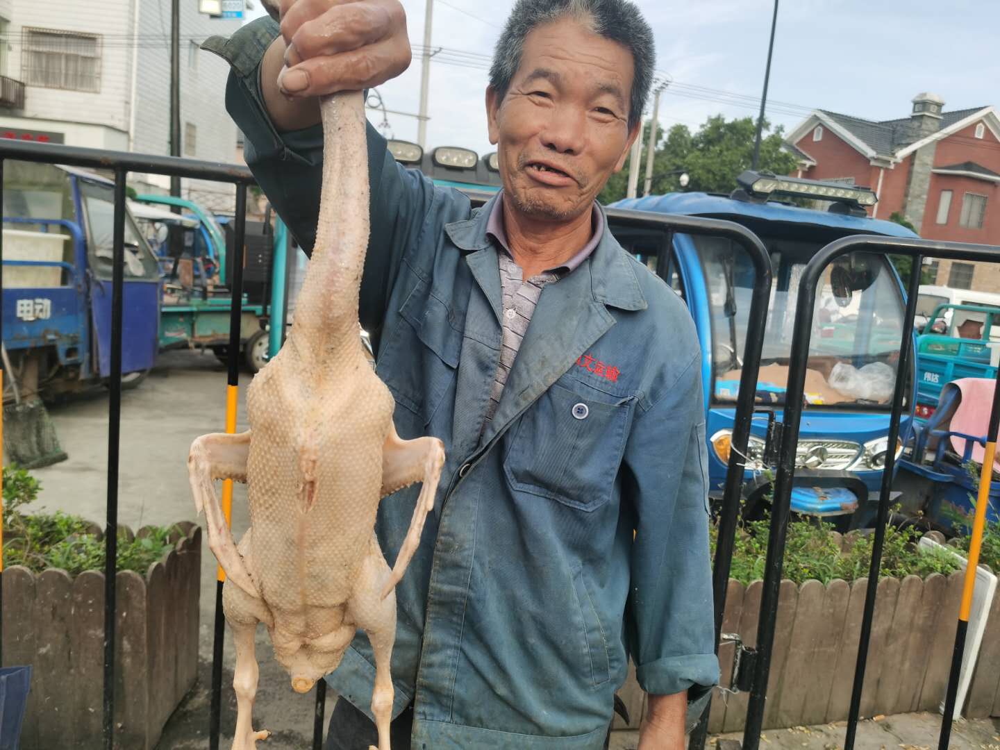宝宝内热容易烦躁晚上睡不好,宝宝夏季胃口食欲差