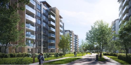 榫欐鼎涓伴敠,榫欐鼎涓伴敠椤圭洰