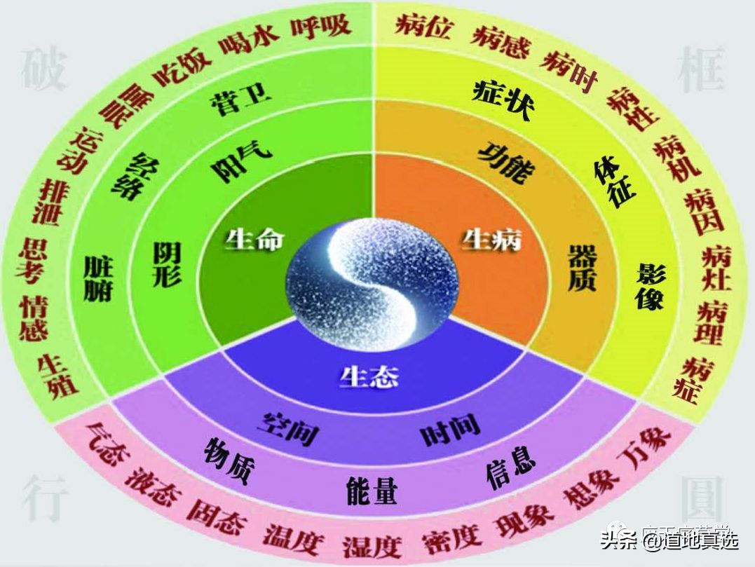 蒸汽机和自由落体，究竟与中医气机升降有什么关系