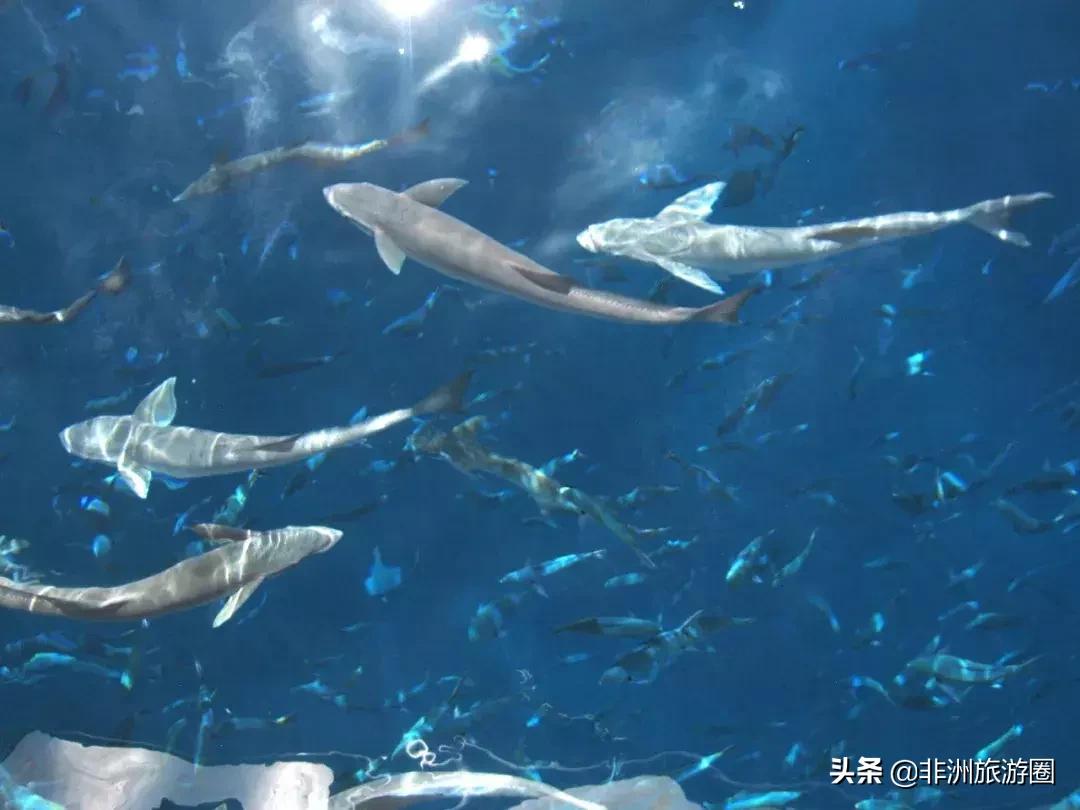 适合夏天去的免签海岛,4个免签的绝美海岛