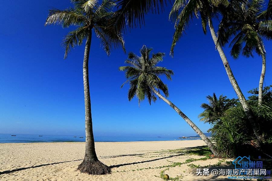 海南澄迈天赐上湾小区怎么样,澄迈天赐上湾是海景房吗