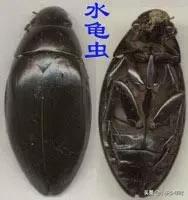 我是如何培养孩子阅读的,我是怎样培养孩子阅读的