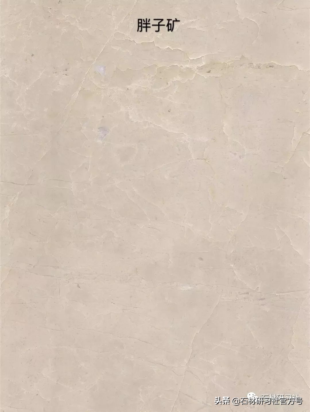 豪宅用的高级天然大理石,别墅铺什么颜色大理石档次最高