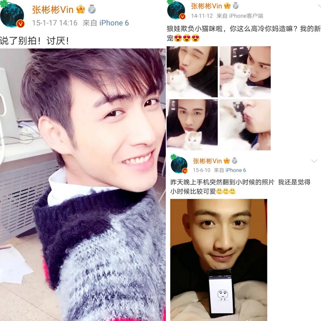 司藤和秦放现实中是什么关系,司藤和秦放中间经历了什么