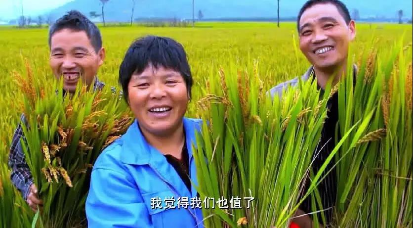 布瑞克农产品数据库,布瑞克农业数据库下载