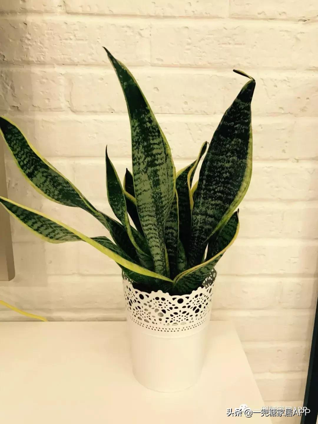 低至9.9元全场秒杀,低至4折宜家