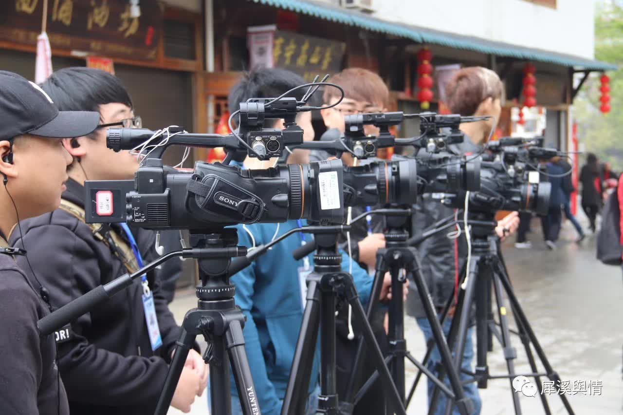 寿宁地方物产一绝，享有“山中鱼翅”的美誉