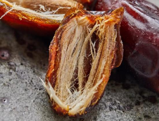 迪拜特产沙漠面包,迪拜国宝级面包