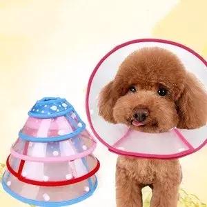 泰迪秃毛癣怎么治疗,泰迪长癣了怎么办