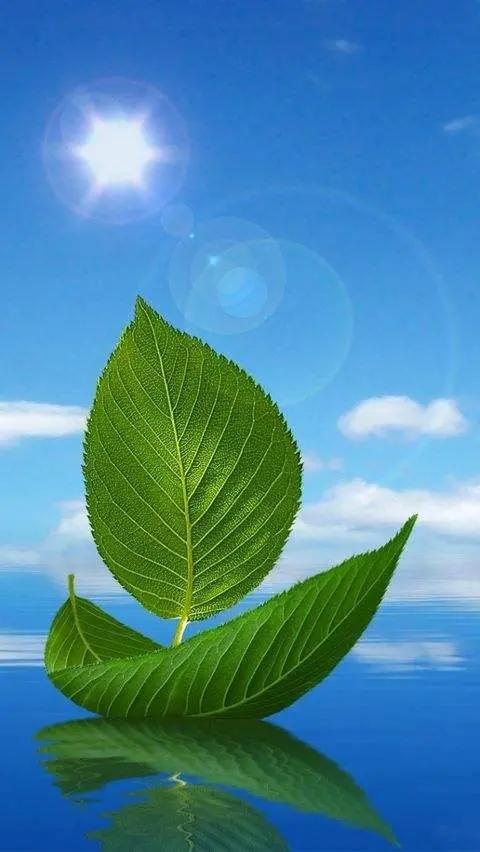 白岩松经典语录感悟人生哲理 (白岩松经典语录集锦好的变成坏的)