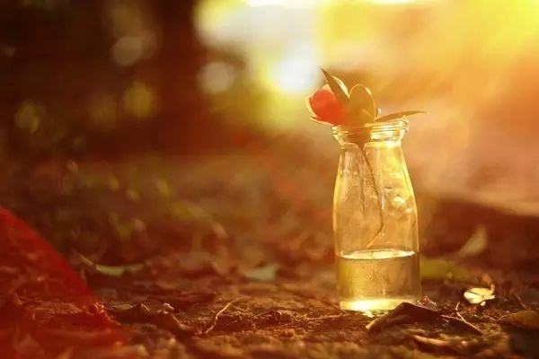 高以翔猝死后到底去了哪里?每个人都该知道