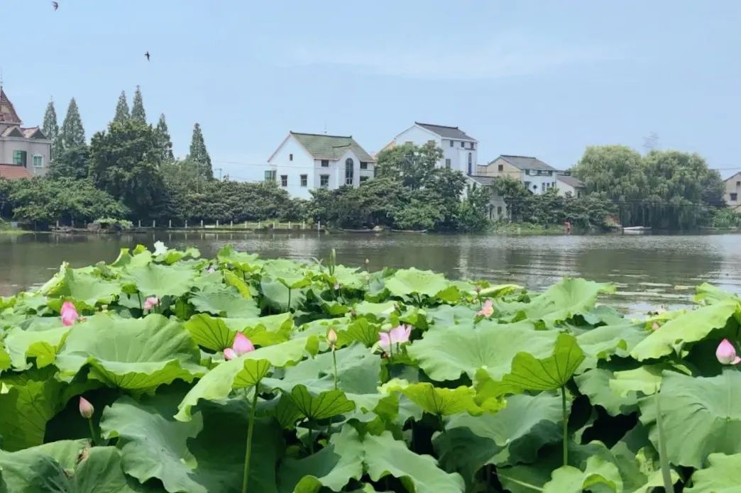 百家发布追寻奋斗百年路｜传承红色历史，高水平建设创新余杭品质之区文明圣地！