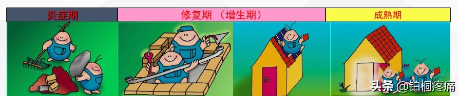 手术后刀口痊愈为什么会凸起,手术后刀口为什么还是红的