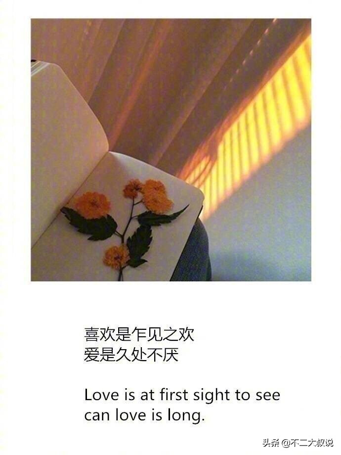 英汉互译的深情句子,中英文唯美爱情句子