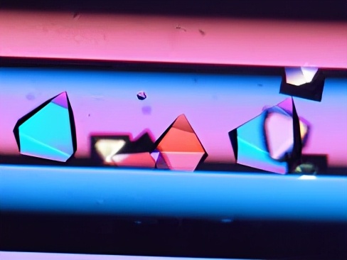 鎶楀嚮鐤儏绉戝鐭ヨ瘑,瓒ｅ懗绉戞櫘鍏辨姉鐤儏