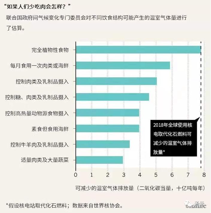 别·浪|No.6中国英国买菜大作战——逛逛英国“菜市场”