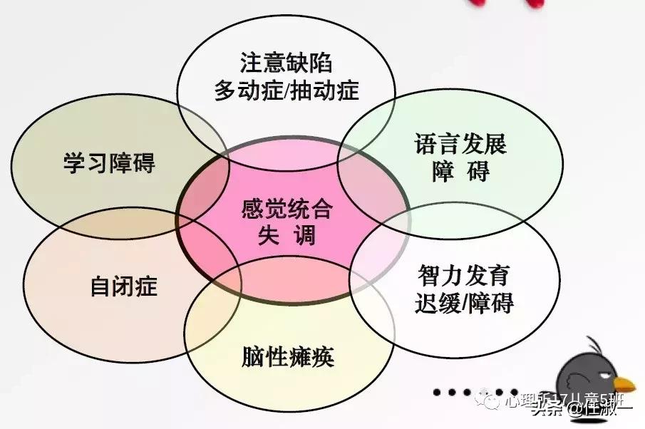 别乱给孩子贴“感统失调”的标签,先来理解什么是感觉统合