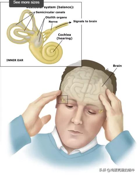 关于儿童自闭症的相关知识,自闭症相关的专业术语