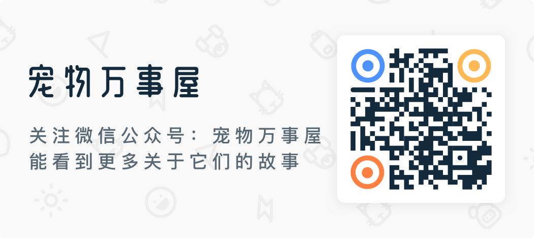 猫狗容易得的病是什么病,猫狗空调病