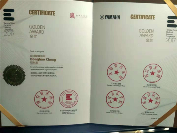 双排键电子琴盲人少年程东昊用音乐打开“世界”之窗