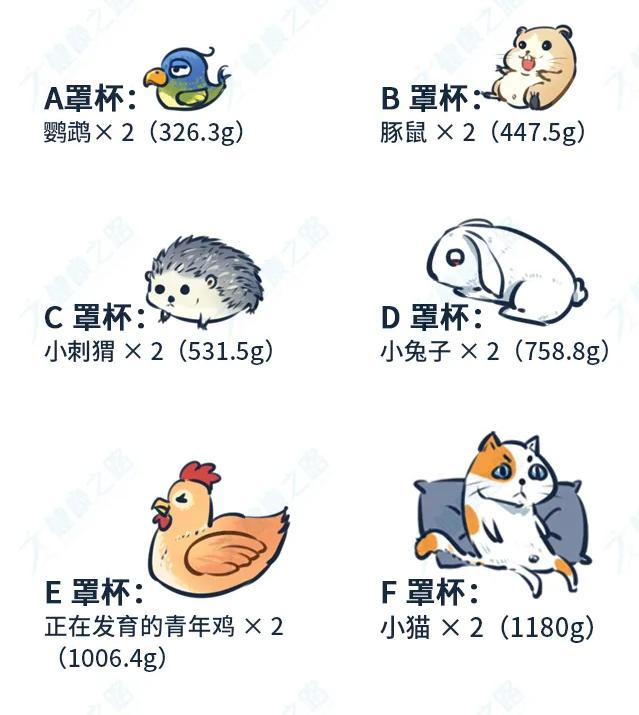 胸太小摸到硬块,胸太小还有硬块