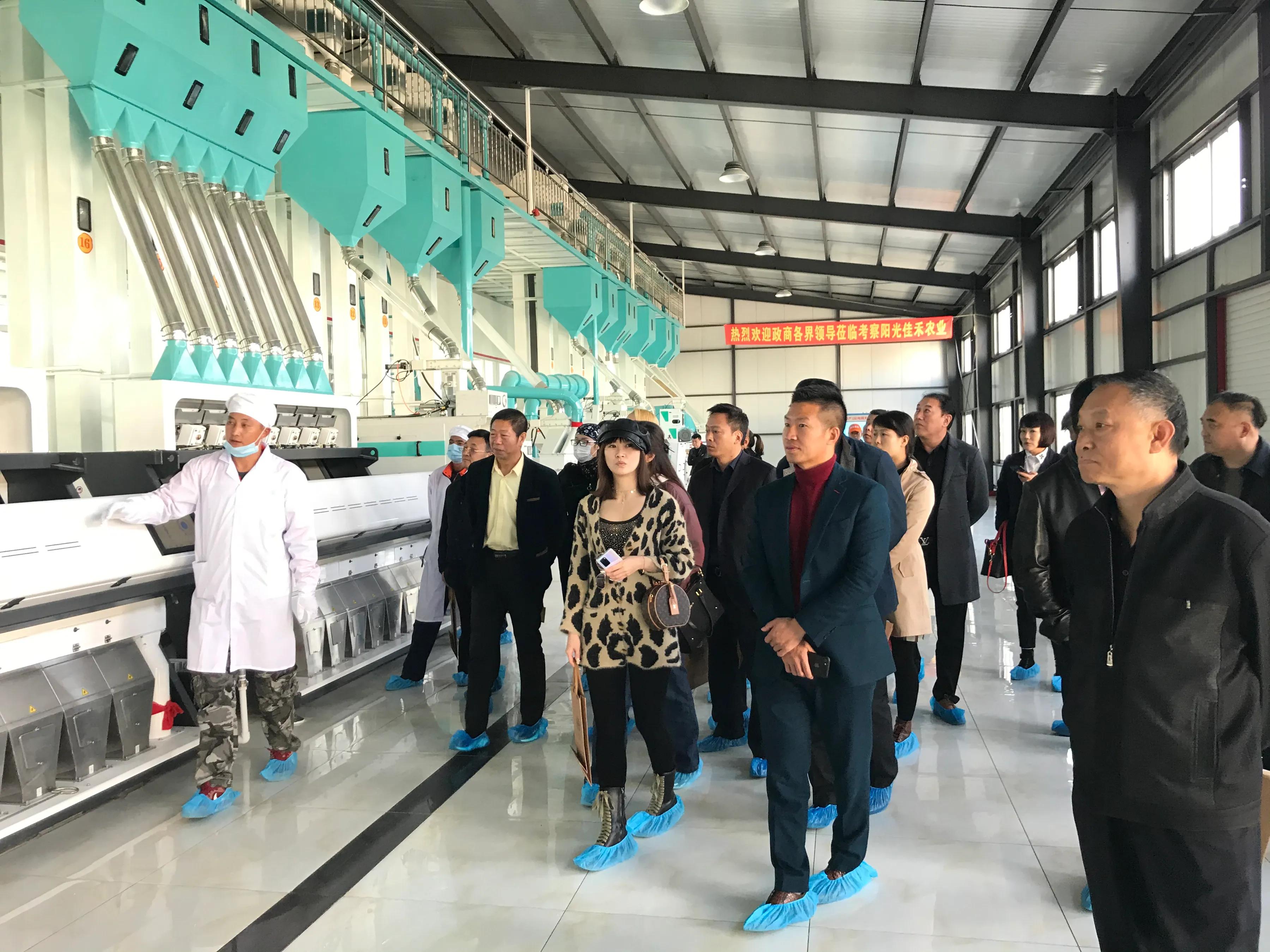 庄河盐碱地长出来的好大米,庄河市聚诚盐碱地大米