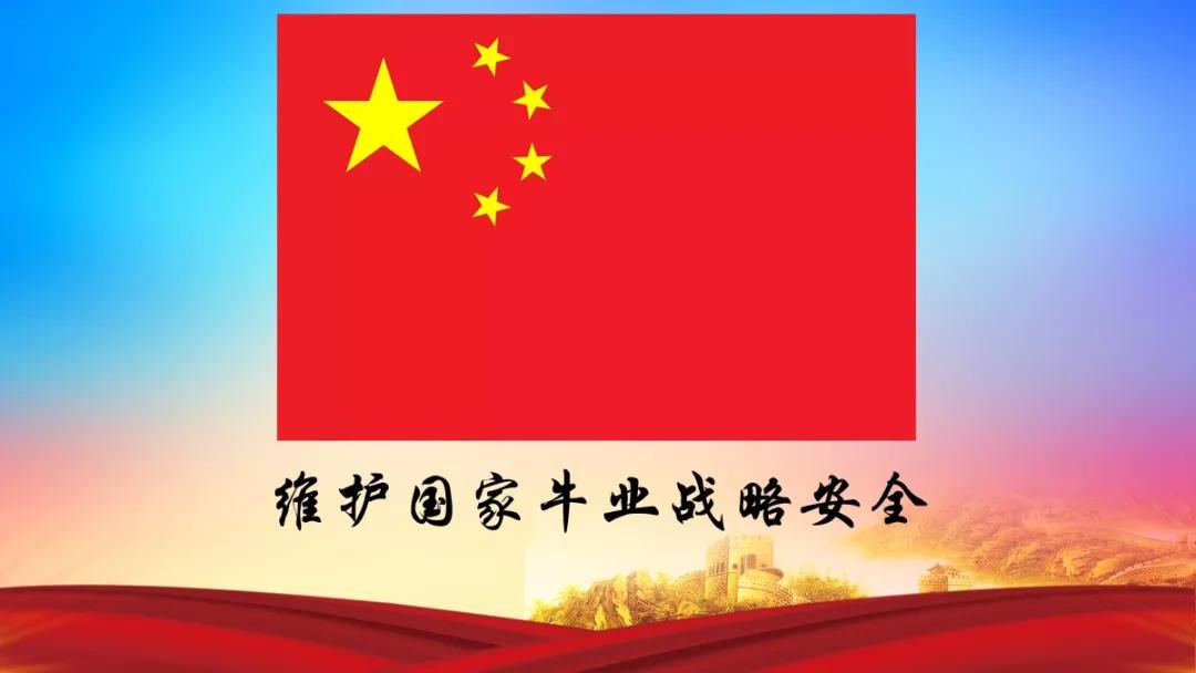 2022年中国肉牛行情走势分析报告,2024年六月份肉牛行情走势