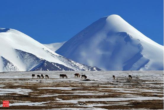 青海是著名的旅游圣地,青海这么美你会去看吗