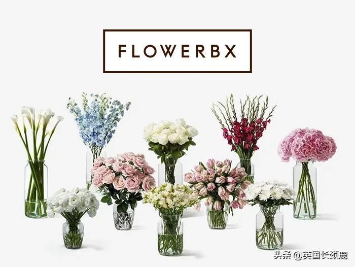 情人节来了怎么少的了fafa？英国鲜花速递服务大盘点：浪漫满分