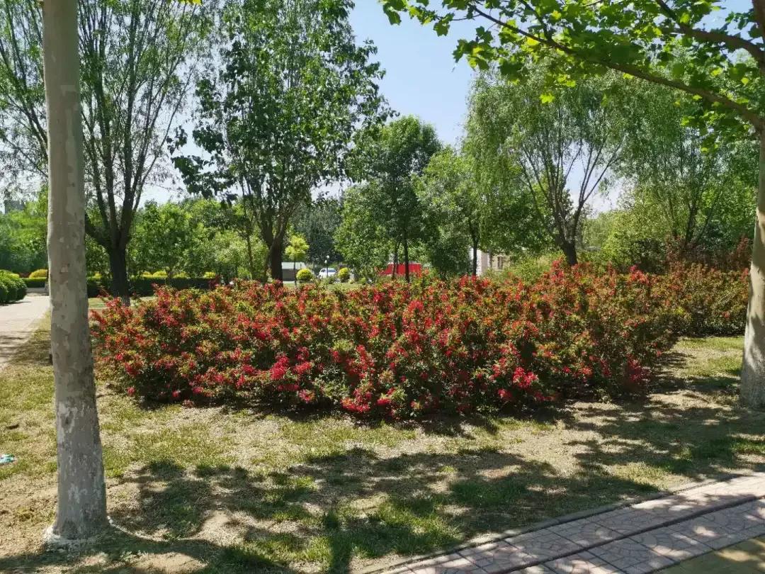 天津市独立院校（四）天津财经大学珠江学院