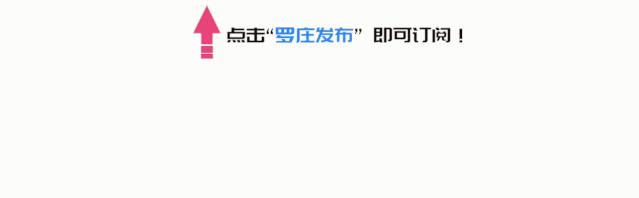 罗庄学校名录,罗庄公办学校排名榜