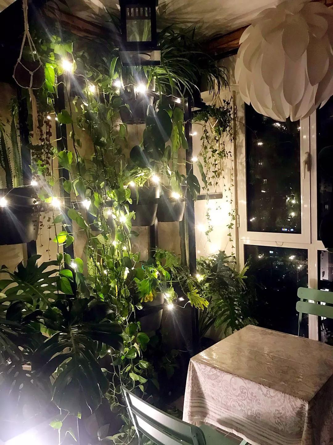 56岁阿姨独居2层别墅，不结婚不生娃，靠另类日式风圈粉无数人