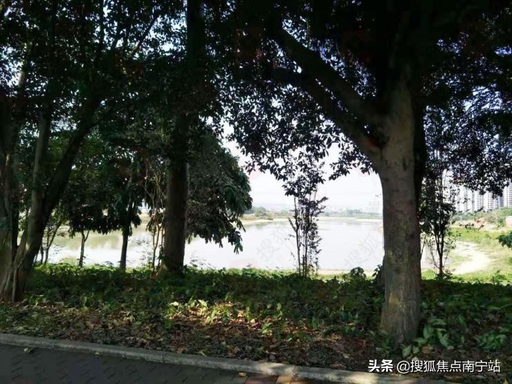 西乡塘西大旁的小户型,西乡塘西大旁最好的小户型