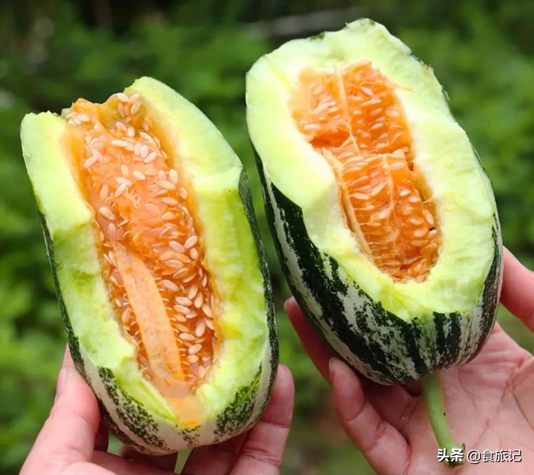正宗博洋蜜瓜产地,黄洋蜜瓜和博洋蜜瓜区别