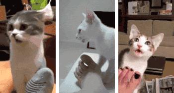 脚臭脚气脚痒快速解决,脚气脚臭脚痒最快怎么治疗